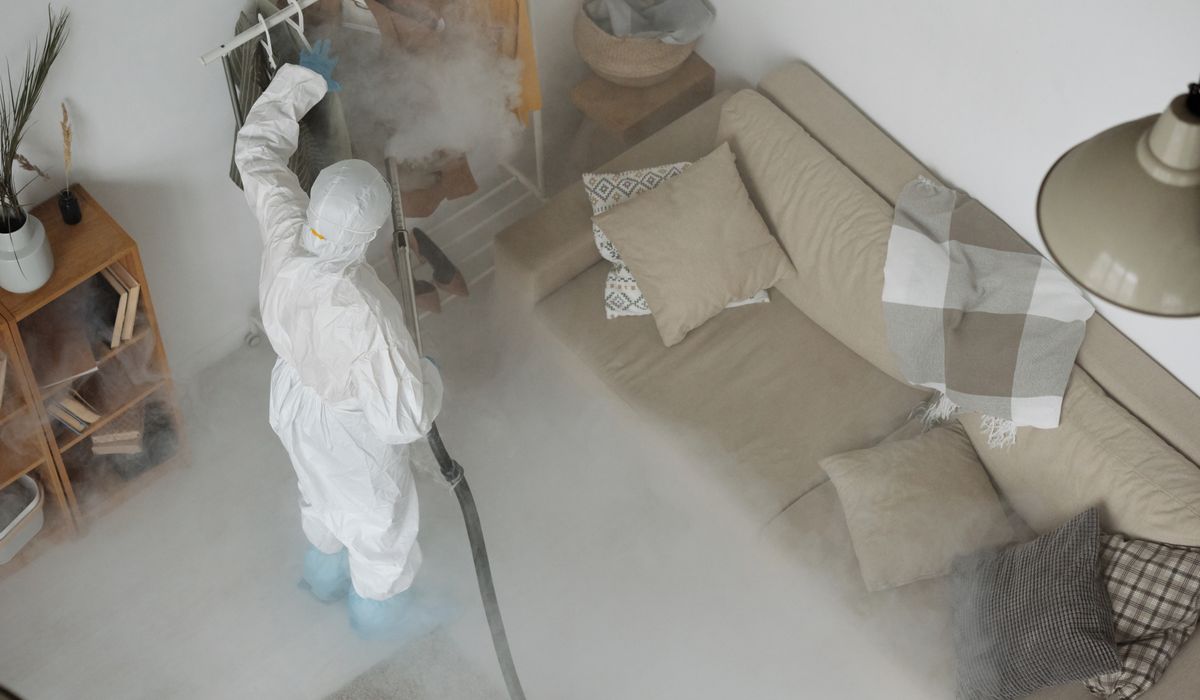 Overhead view of a technician fogging the interior of a living room
